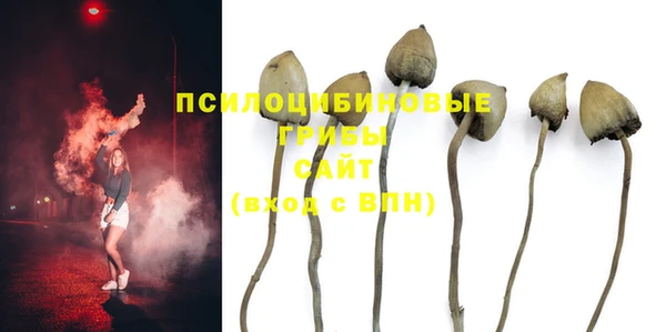 хмурый Алексин