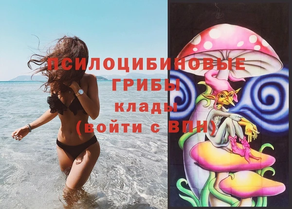 кокс Алексеевка